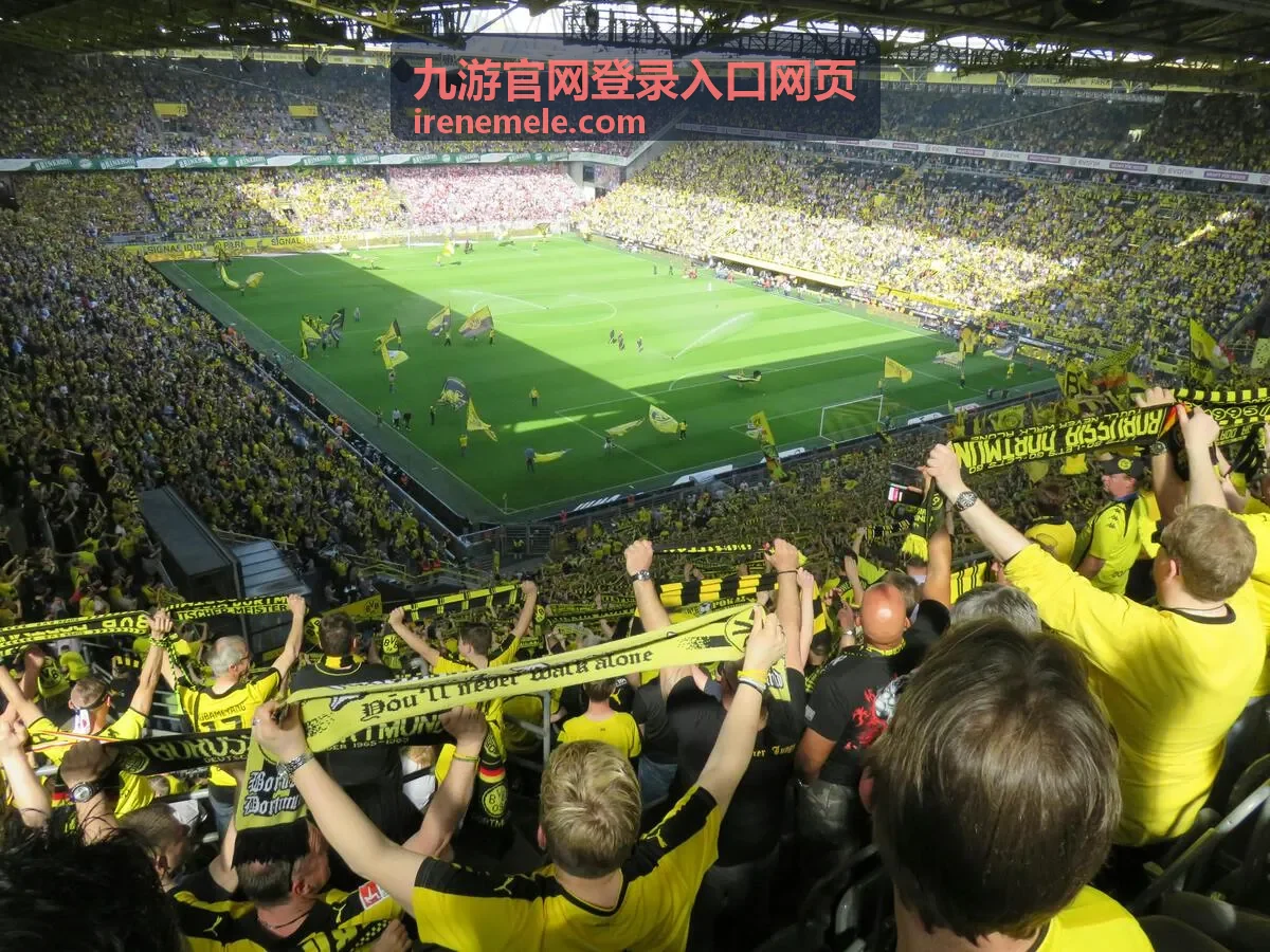 九游官网登录入口网页账号安全设置卡